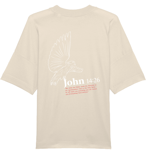 JOHN 14_26